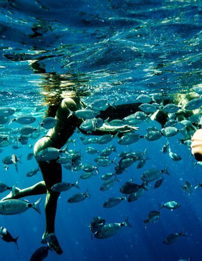 Esperienze Blackwave